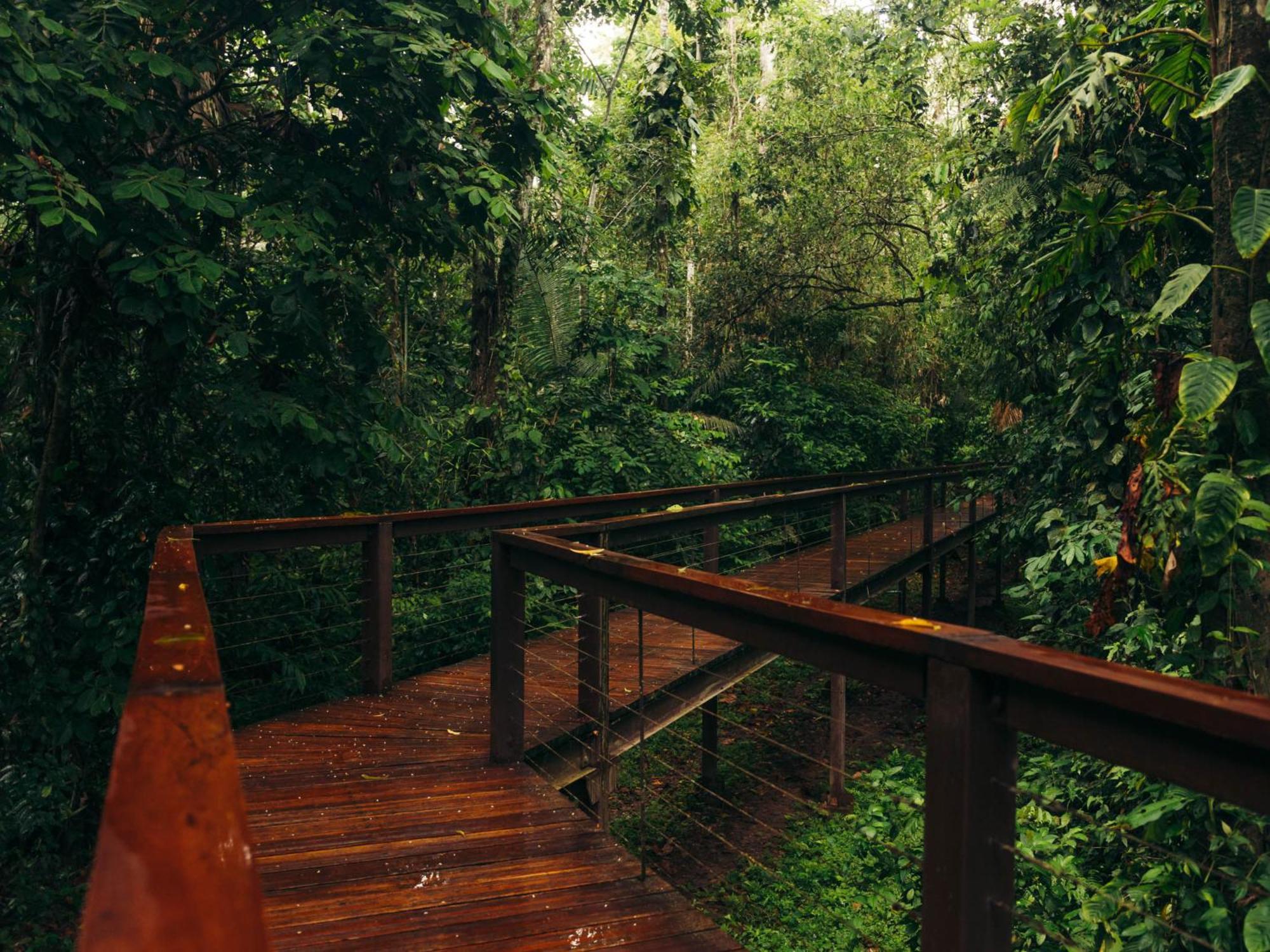 Tambopata Research Center Villa Eksteriør bilde